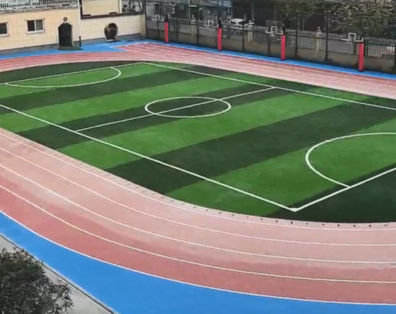 湖北随州学校全塑型跑道